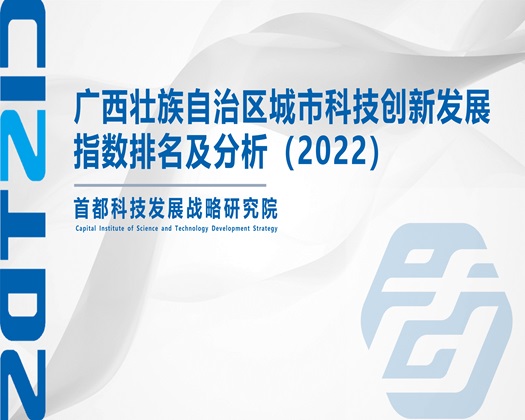 欧美色逼【成果发布】广西壮族自治区城市科技创新发展指数排名及分析（2022）